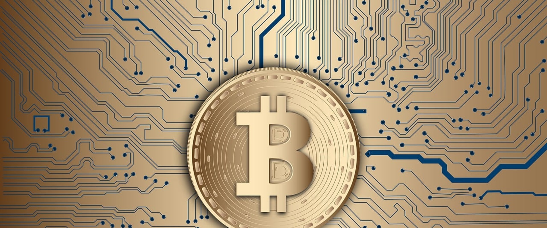 Managing Risks and Mitigating Potential Losses in Crypto and Bitcoin Backed Loans